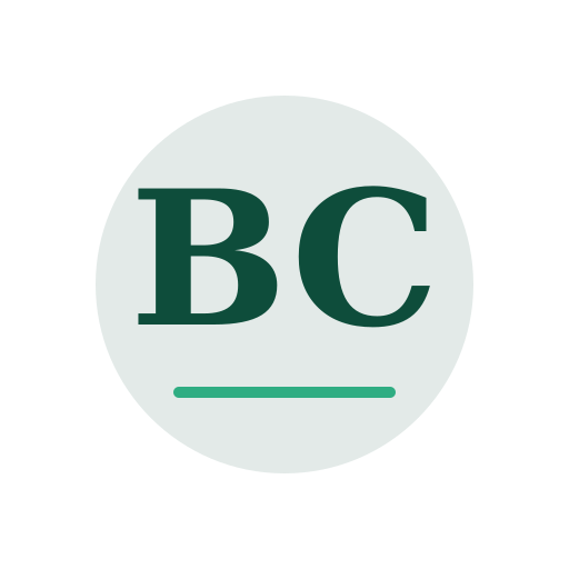 Burch Chimney Repair logo